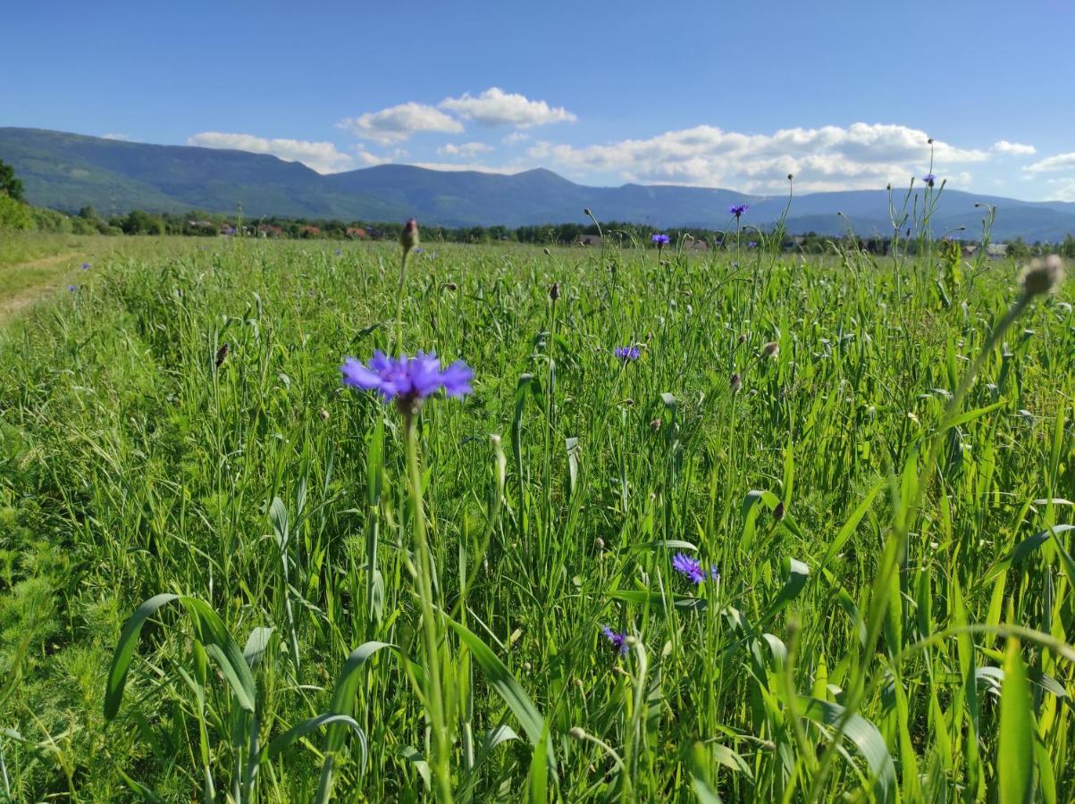 Willa Kolorowa Chata 6 Km Od Karpacza Mysłakowice Exteriér fotografie