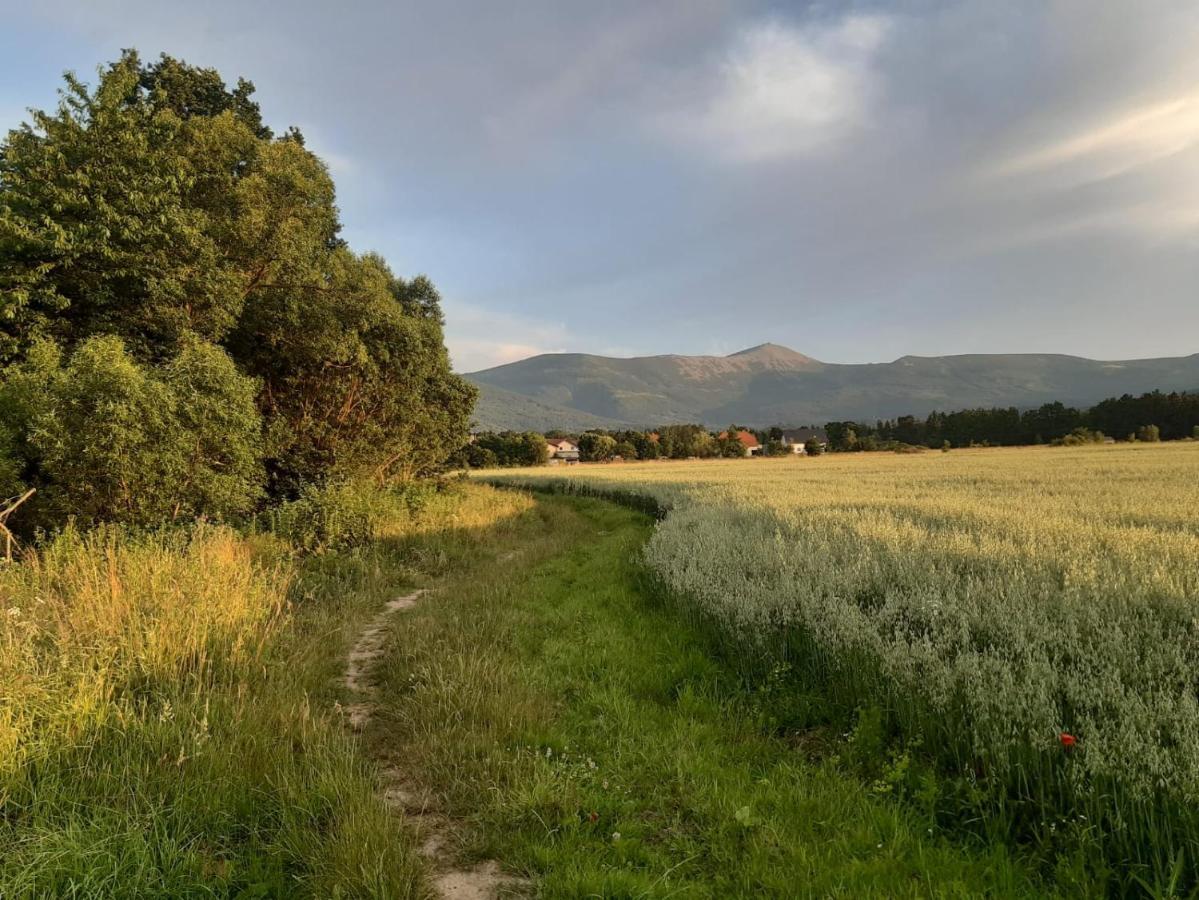 Willa Kolorowa Chata 6 Km Od Karpacza Mysłakowice Exteriér fotografie